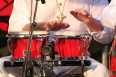 Freilichtbühne Konzert 2014_06